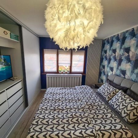 Elisa'S Place Făgăraş エクステリア 写真