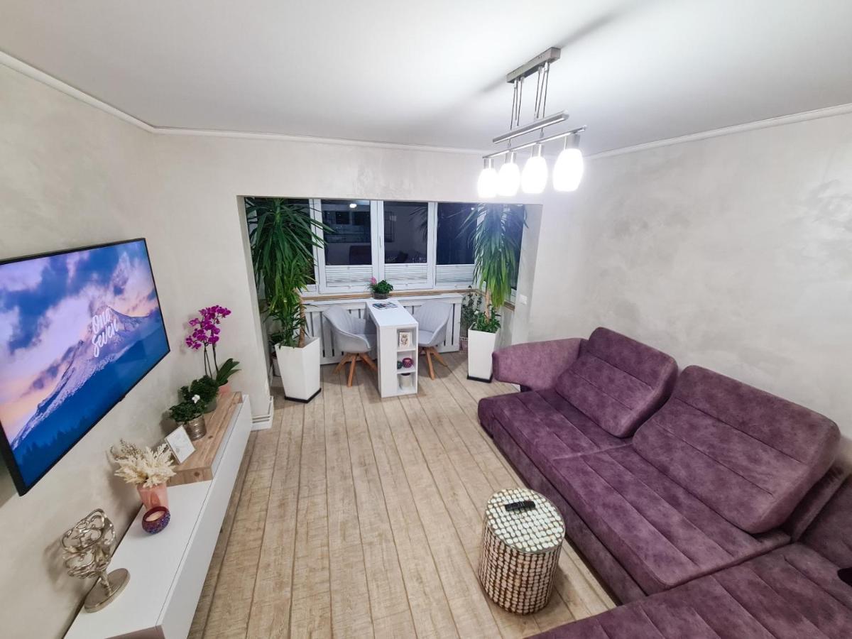 Elisa'S Place Făgăraş エクステリア 写真