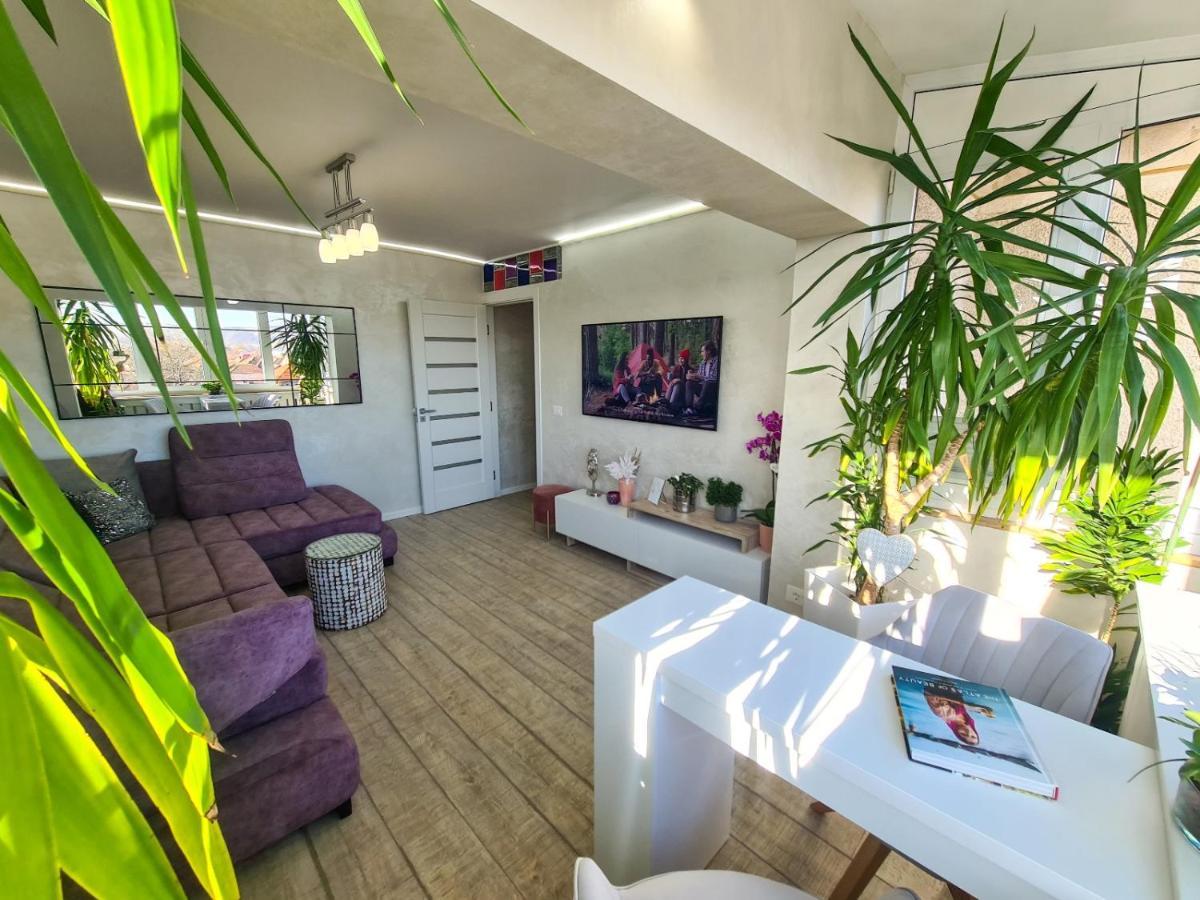 Elisa'S Place Făgăraş エクステリア 写真