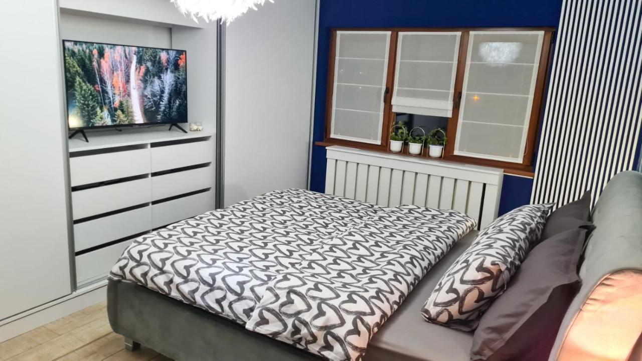 Elisa'S Place Făgăraş エクステリア 写真